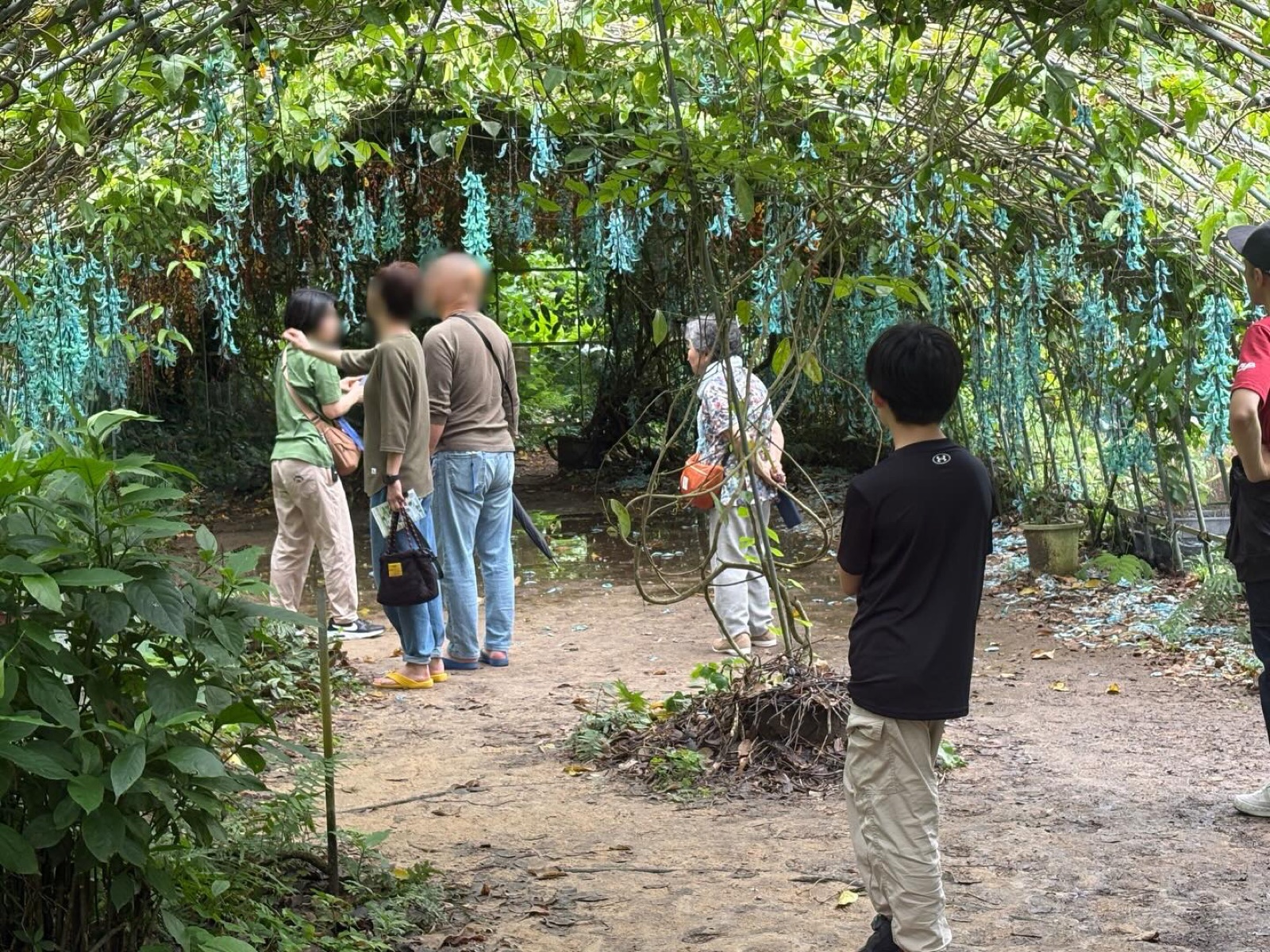 石垣島サイエンスガーデンで親子が園内を歩きながら自然を観察する様子